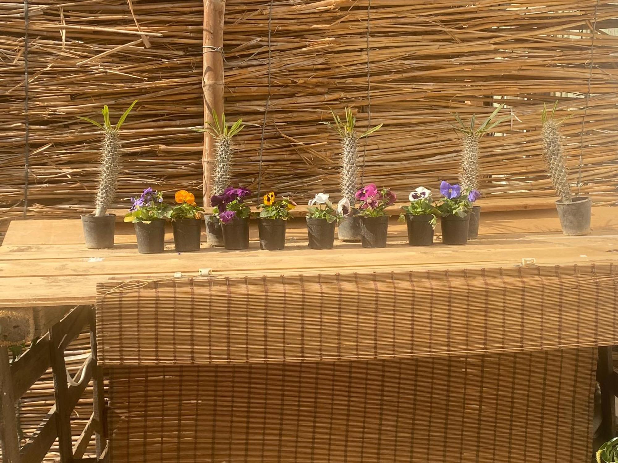 Airport Rooftop Club Luxurious Rooms And Studios Le Caire Extérieur photo
